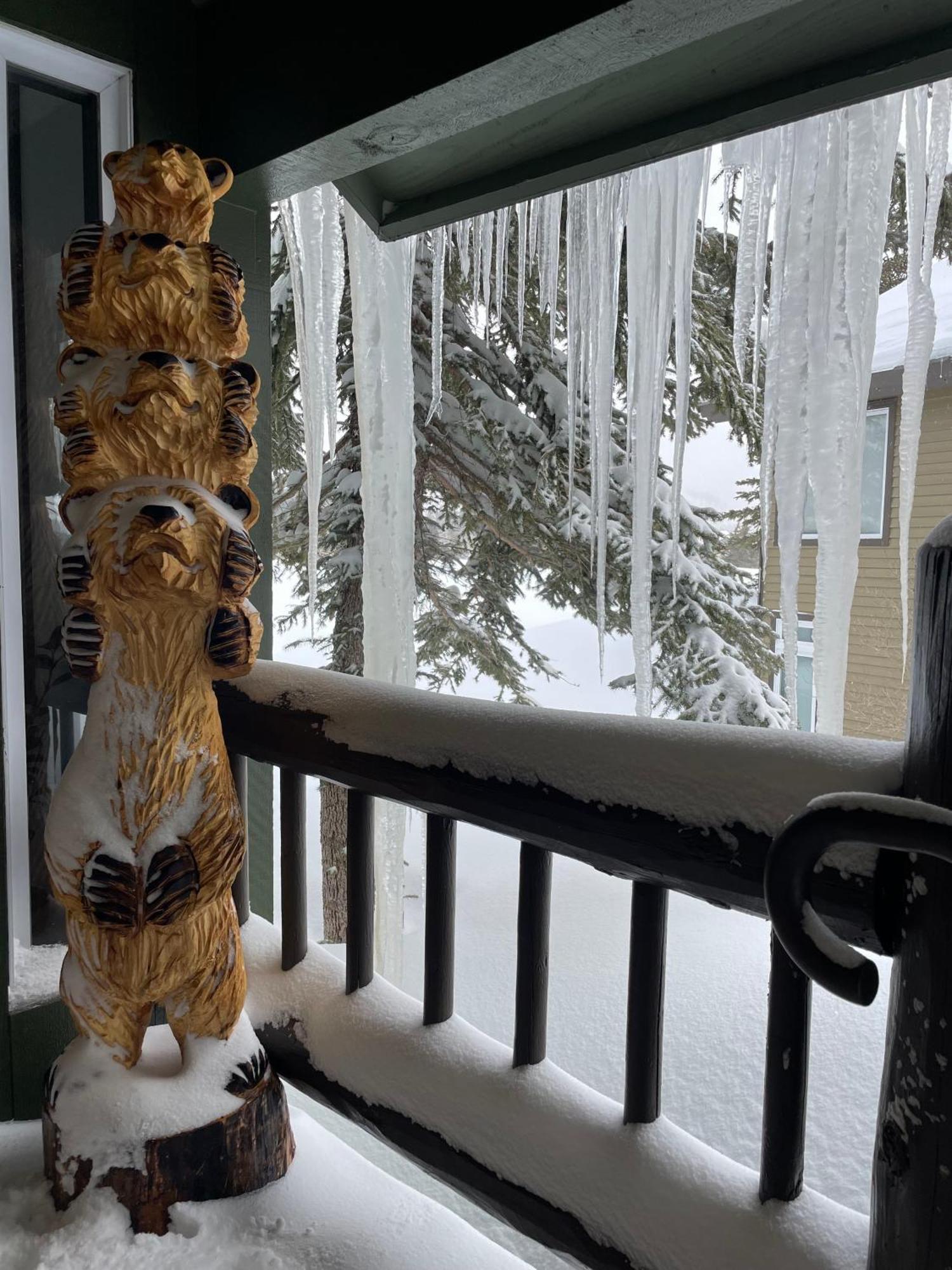 Great Views Fully Renovated Luxury 4 Bedroom 3 Full Bathrooms And Half Bath Snowcreek 732 Phase V Holiday home Mammoth Lakes