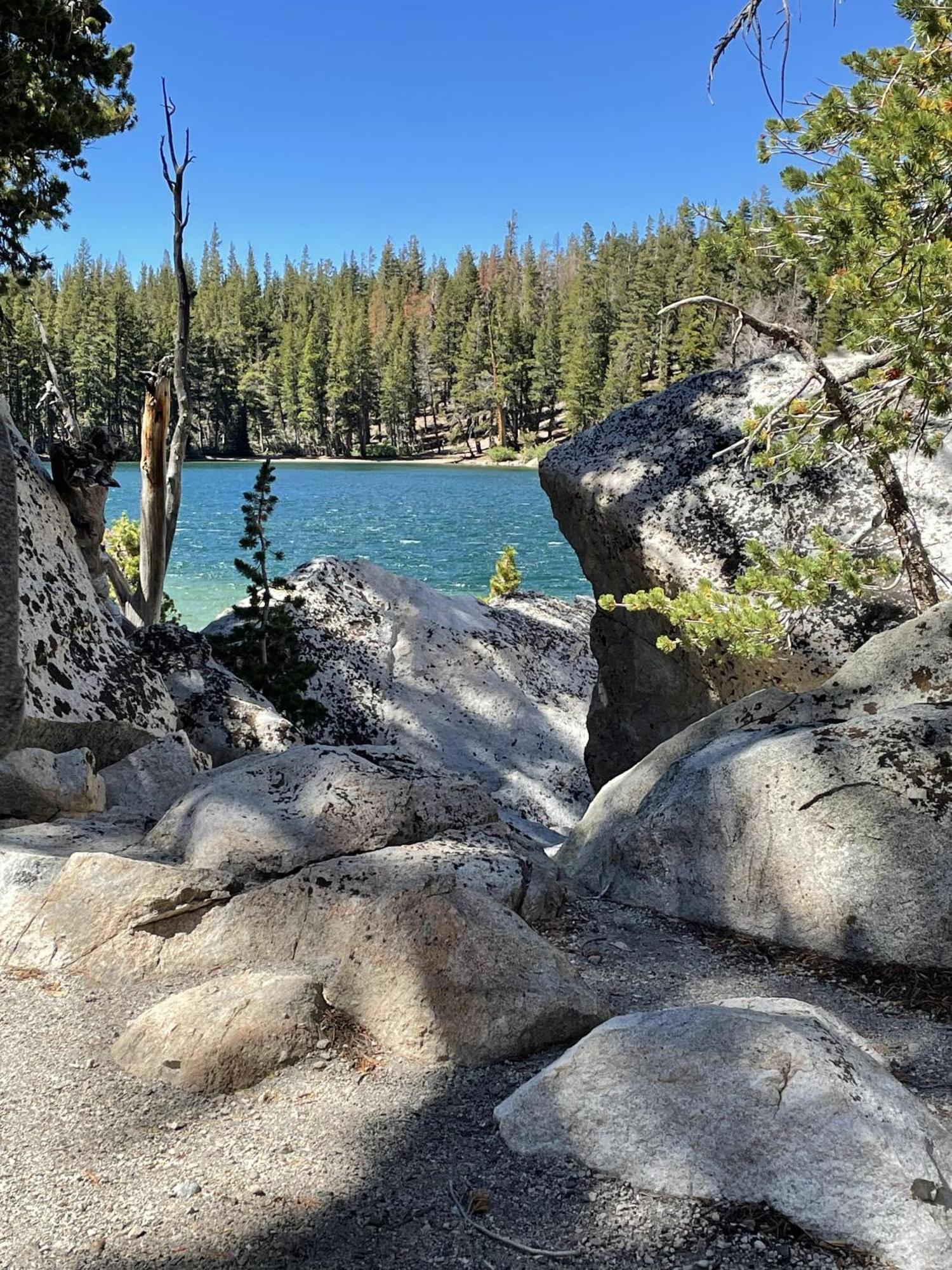 Great Views Fully Renovated Luxury 4 Bedroom 3 Full Bathrooms And Half Bath Snowcreek 732 Phase V * Mammoth Lakes